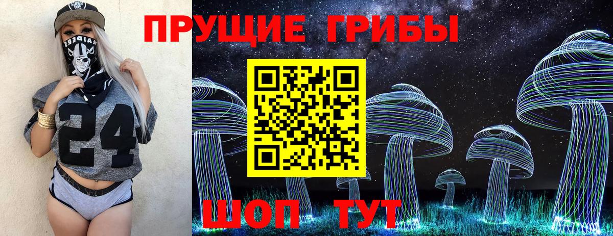 Галлюциногенные грибы Psilocybe  Вход с VPN  Фролово 